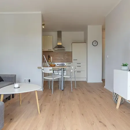 Apartment, 55m2, Kitchen, Washer, Netflix, Parking *